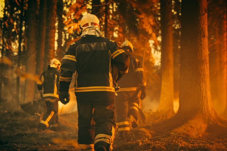 Nuevas plazas de bombero en Sevilla